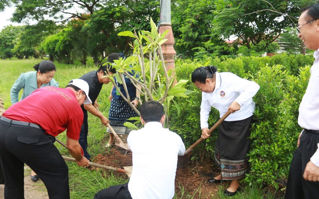 ສະພາແຫ່ງຊາດ ສ້າງຂະບວນການປູກຕົ້ນໄມ້